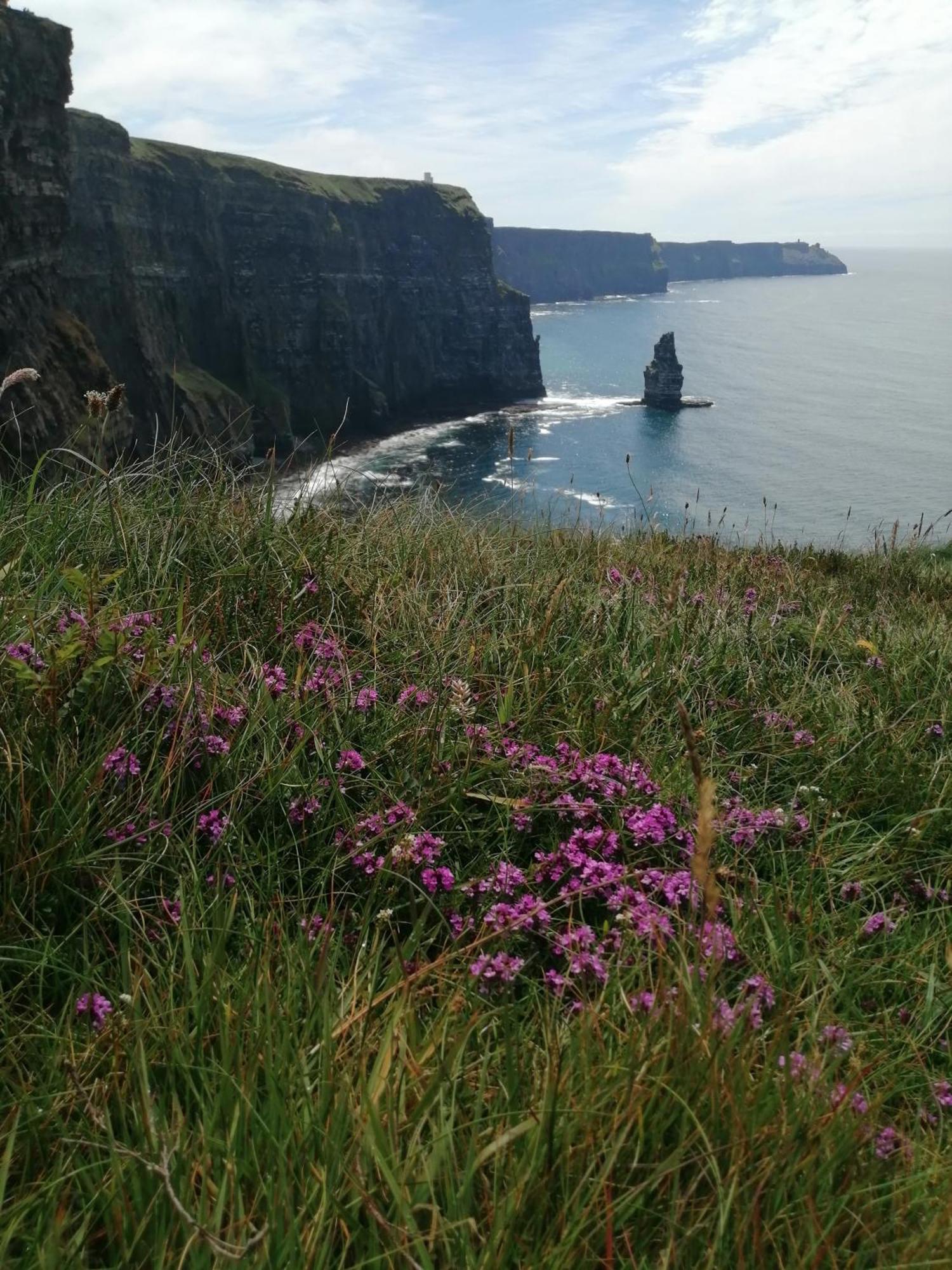 Puffin Rooms Lisdoonvarna Eksteriør bilde
