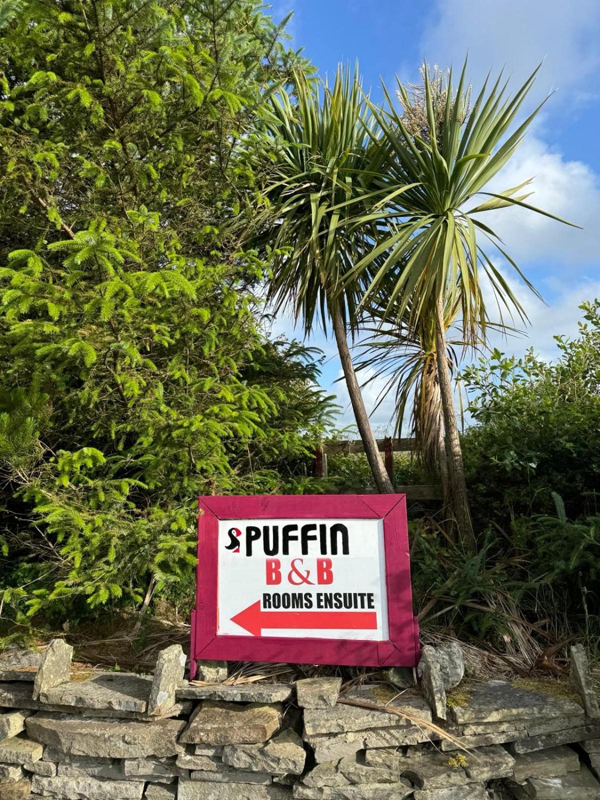 Puffin Rooms Lisdoonvarna Eksteriør bilde